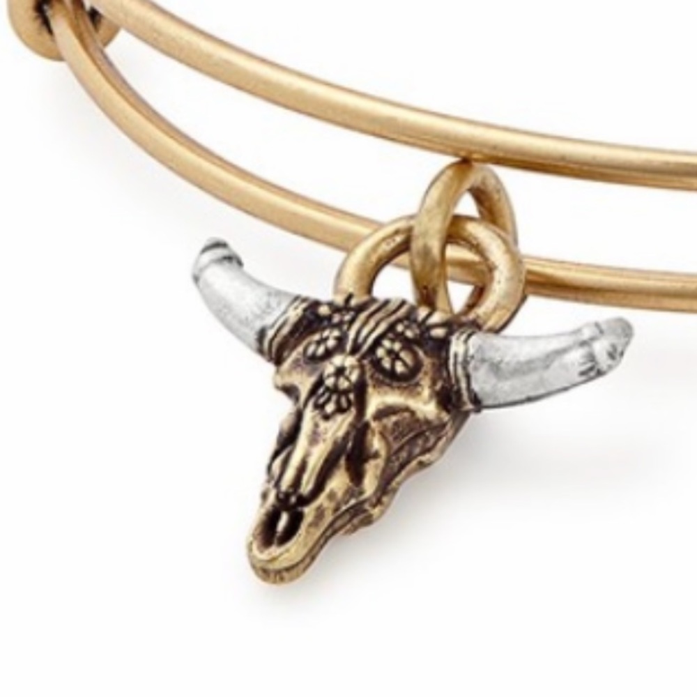 Alex and ANI Spirited Skull Charm for Bracelet